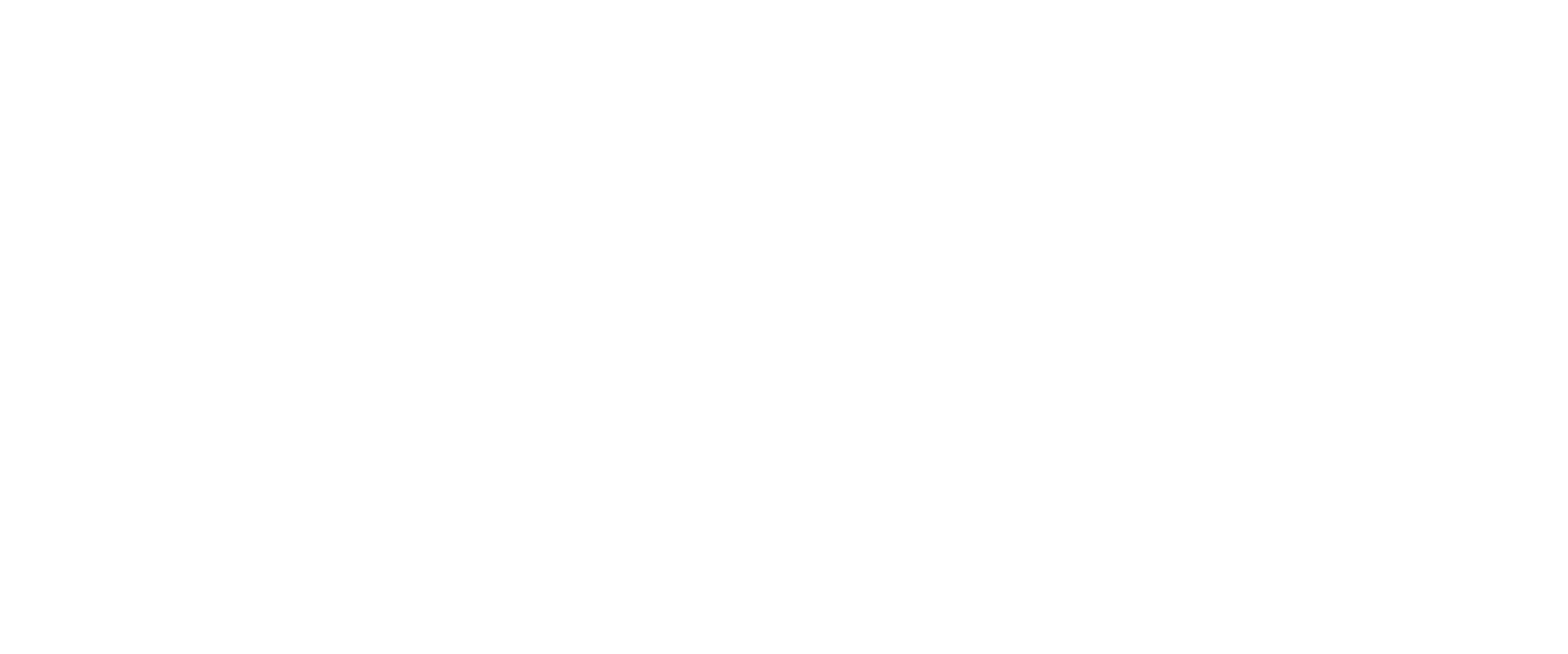1Bit