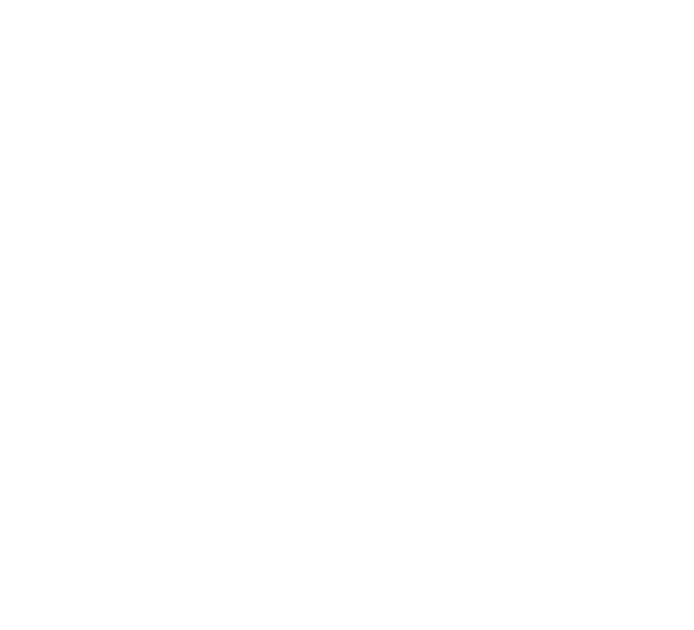 1Bit